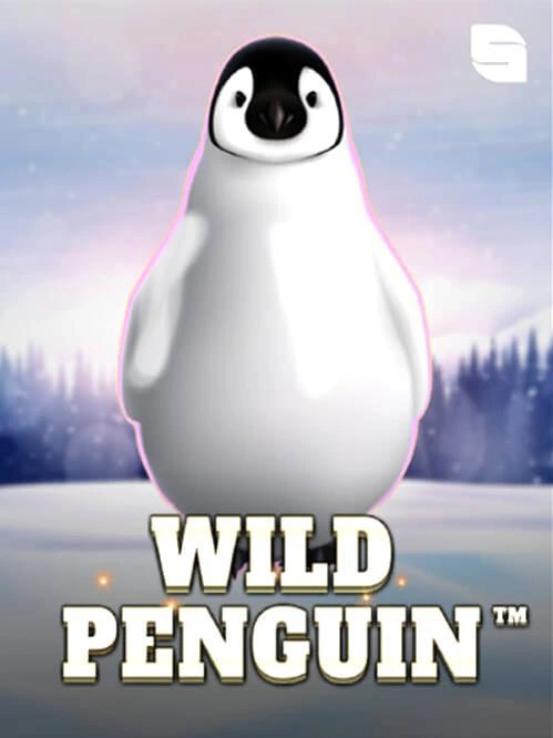Bônus de amigo em cassino online