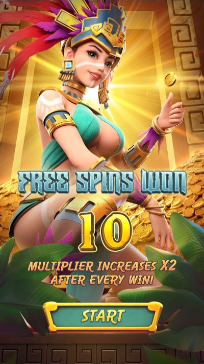 Mtbets sports