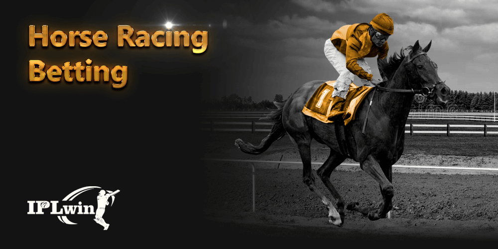 Sports bet365