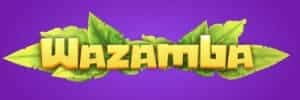 Big blaze brasil
