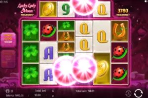 Casacampea app